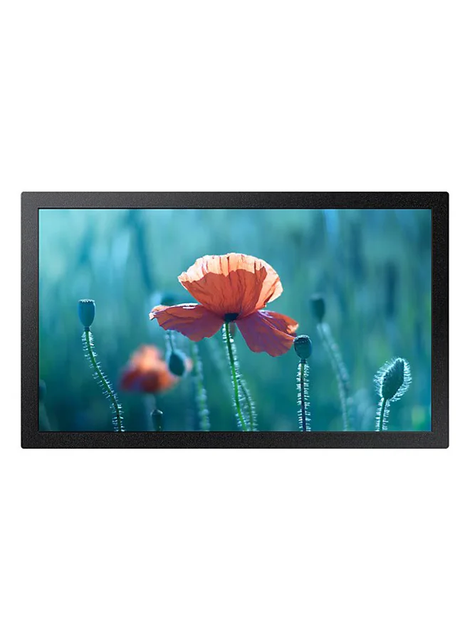 Ultra-HD 13-Inch Full HD Professional Display Monitor, 1920x1080 Resolution, HDMI and Wi-Fi Connectivity, VESA Mount Compatible (Black, 33 cm) c80jh