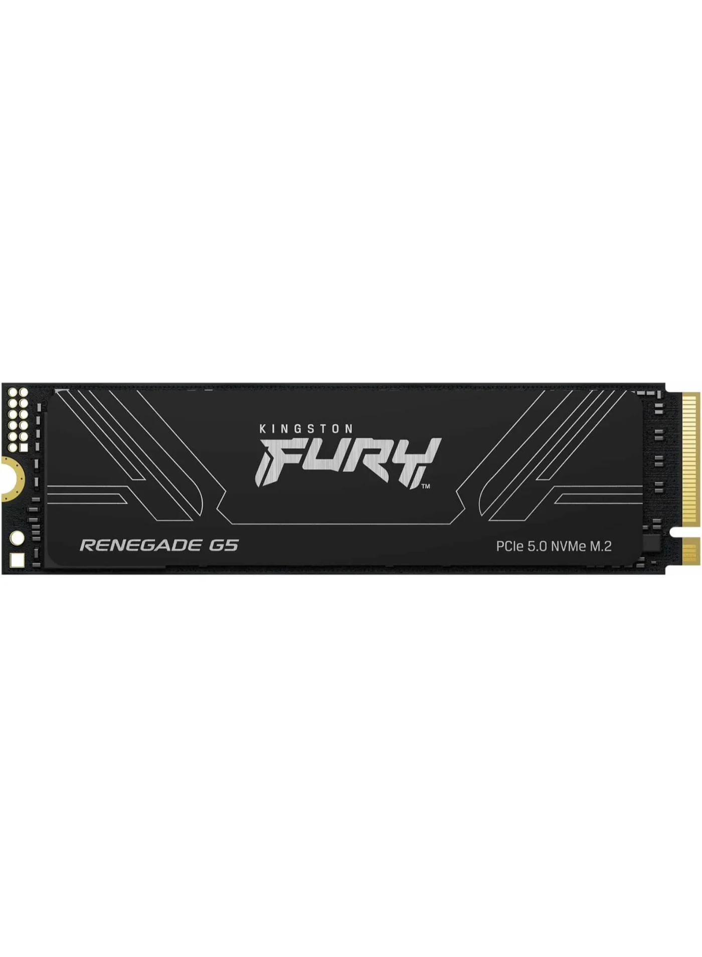 FURY Renegade G5 PCIe 5.0 NVMe M.2 Internal SSD (4TB, Black) High-Performance Storage for Gaming and Professional Workstations nx2wy