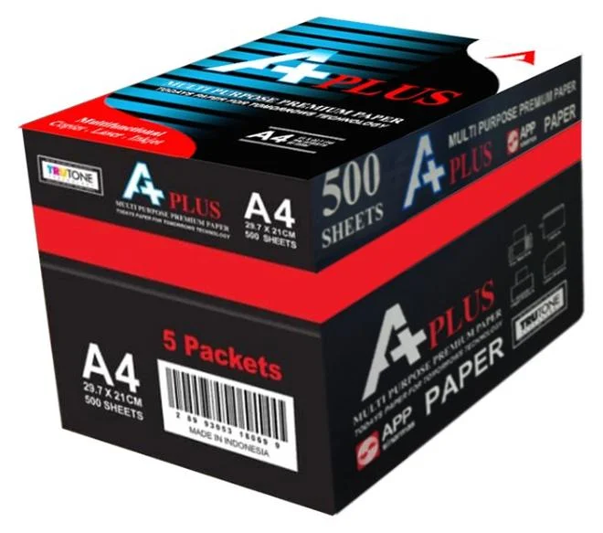 A Plus Premium A4 Photocopy Paper Box (5 Reams, 2500 Sheets) High-Quality Office Printing Supplies lhrhd