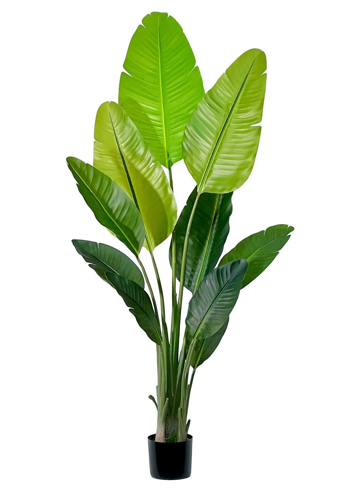 MirageBotanics Artificial Banana Plant Faux Bird of Paradise Tree for Indoor and Outdoor Home Decor (120 cm) 34s19
