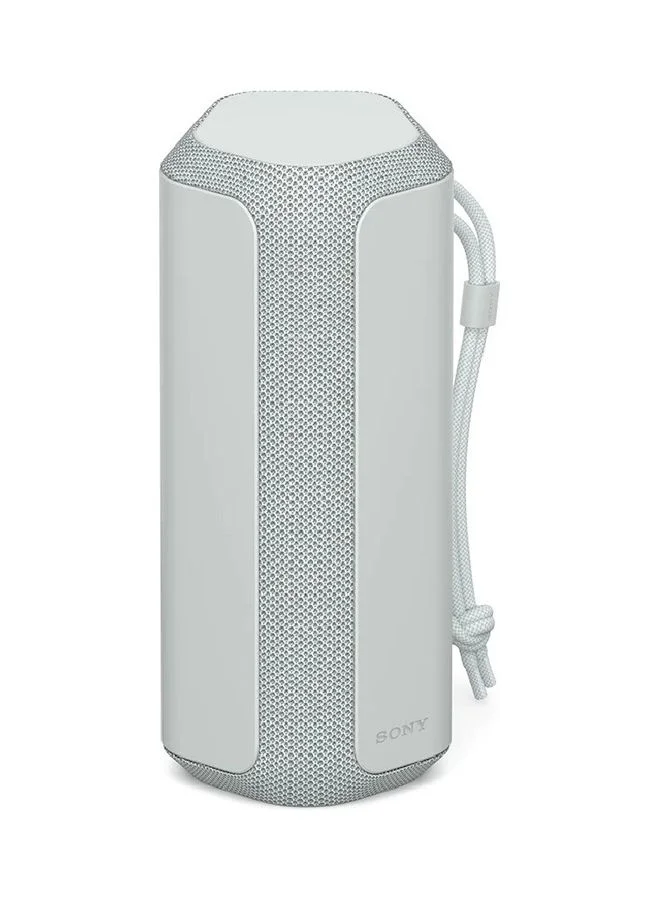 Premium X-Series Portable Wireless Speaker High-Fidelity Sound (Silver, 1 Unit) 44ofq