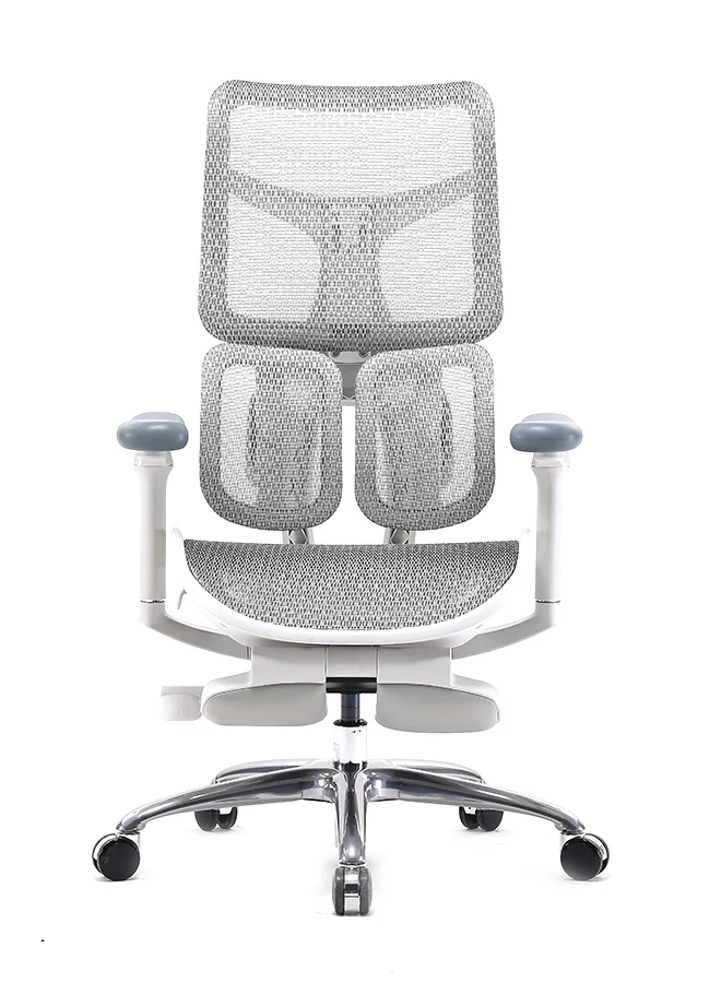 Premium Ergonomic Gaming and Office Chair with Dynamic Lumbar Support and Adjustable Armrests (Light Grey) ir1ow