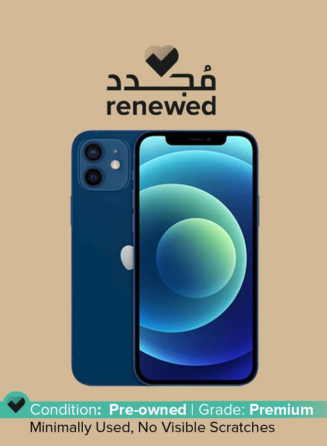 Premium Smart 5G Smartphone 256GB Storage 6.1-inch Display (Blue) jxocz