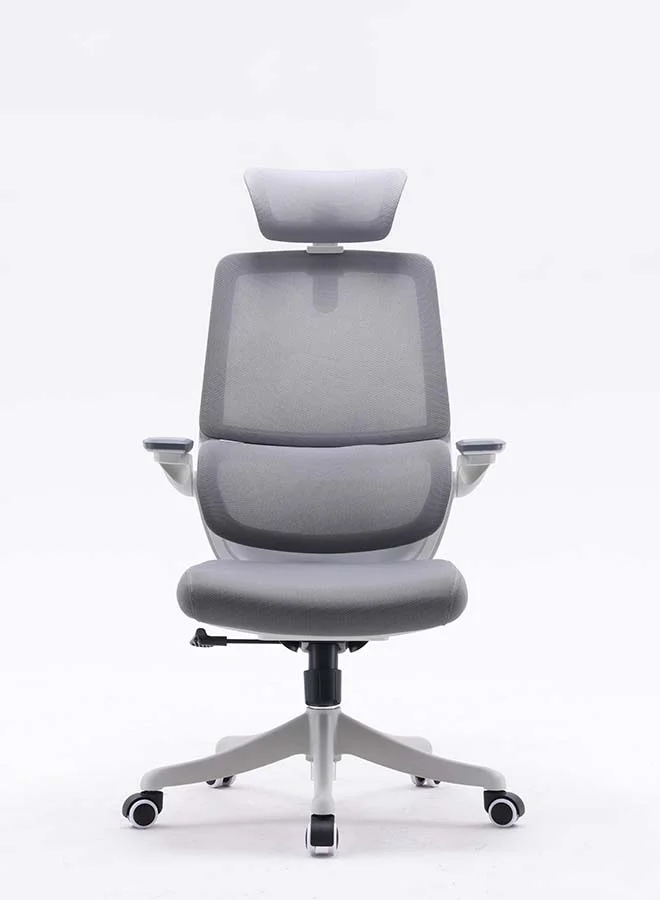 Premium Ergonomic Home Office Chair with 3D Adjustable Armrests and High-Density Sponge Cushion (Black, Standard Size) 2cnoh