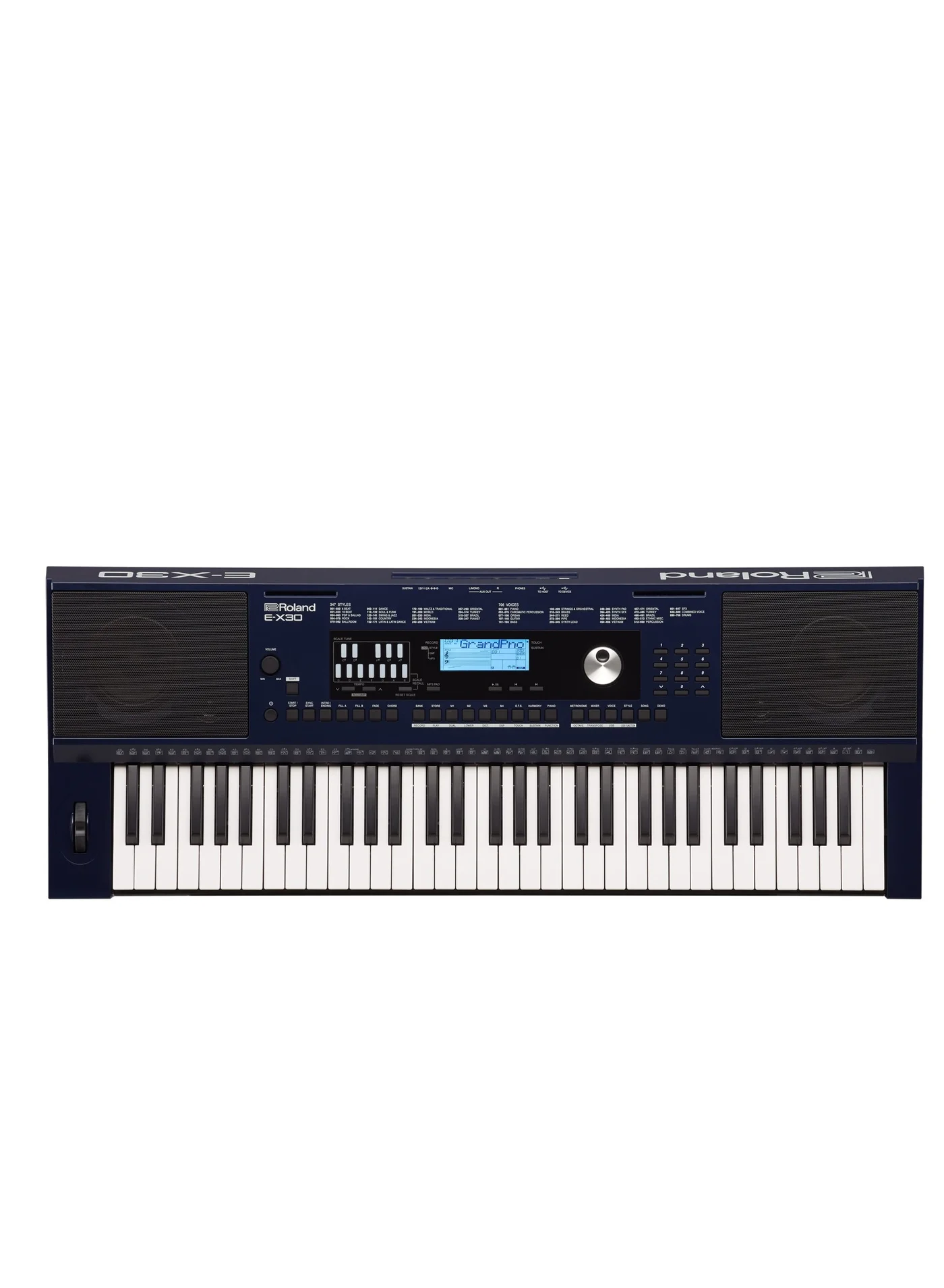 Professional Arranger Keyboard 61-Key Electronic Piano with Built-in Speakers and Arranger Functions for Musicians ehd81