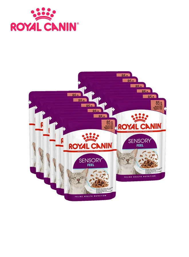 Premium Feline Sensory Feel Wet Food for Adult Cats (85 g, Pack of 12) kahop