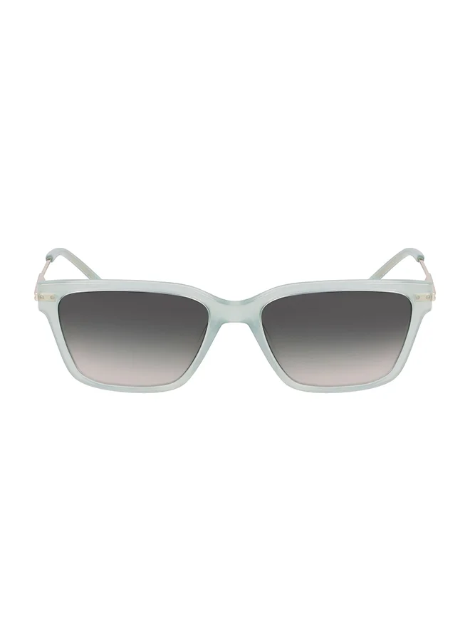 Premium Acetate Full Rim Sunglasses Demi Olive (One Size) 855iq