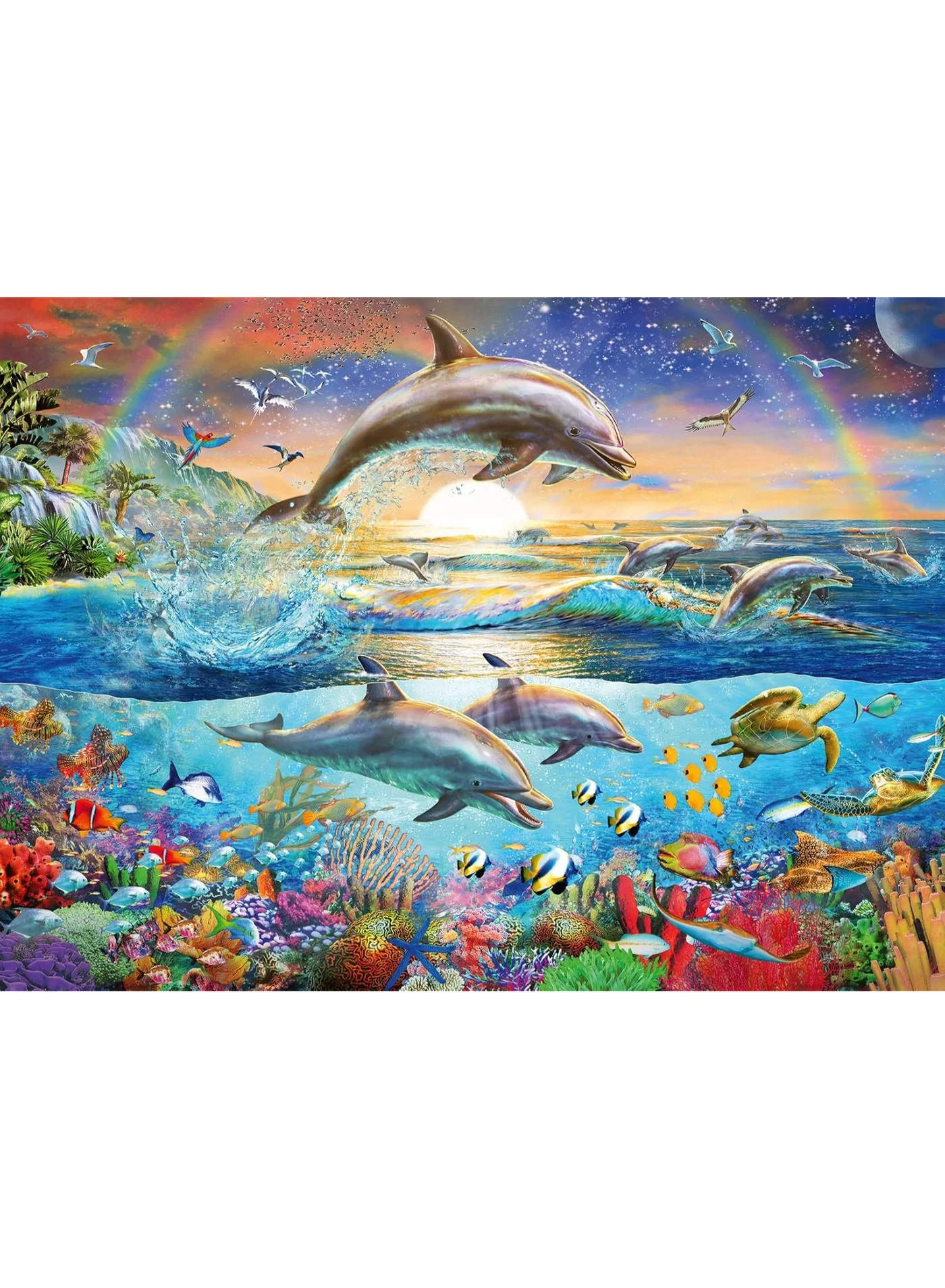 Premium Dolphin Paradise Jigsaw Puzzle 300 Piece XXL Extra Large Pieces for Kids (300 Pieces) xmath