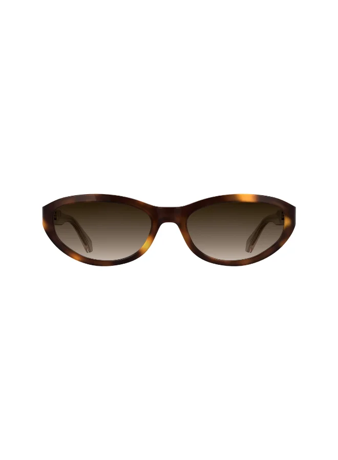 Premium Acetate Full Rim Sunglasses Havana (56mm Lens, Unisex) p237p
