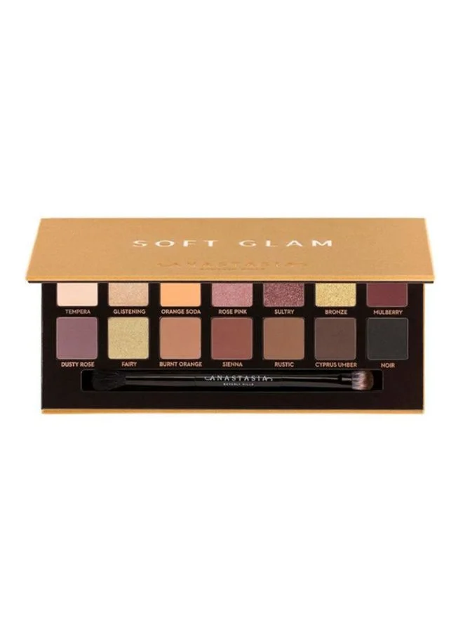 Premium Soft Glam Eye Shadow Palette Multicolour Glitter Finish (14 Shades) sfpdg