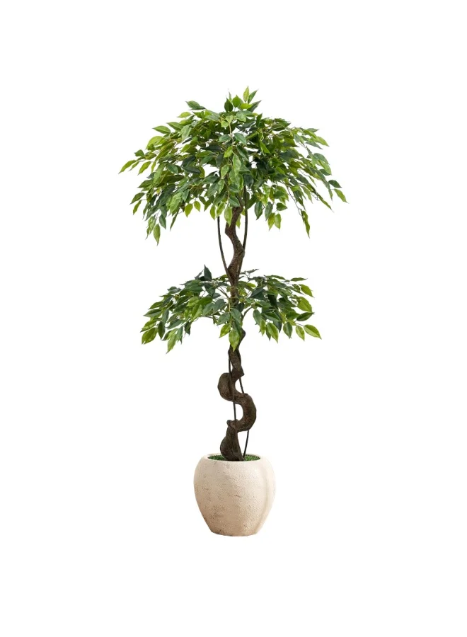 MirageBotanics Artificial Ficus Tree with Natural Curved Trunk in White Pot (150cm) x7g62