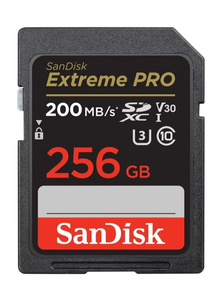 Professional SDXC Memory Card High-Speed Data Storage (256GB, Black) for DSLR and 4K Video Cameras zporm