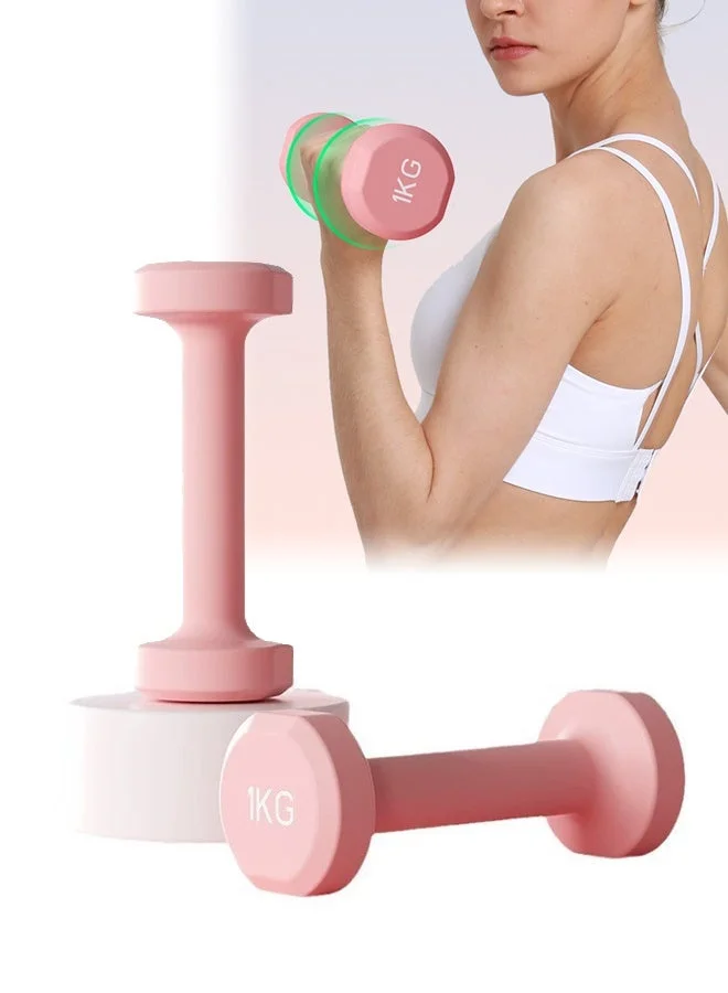 DUNISO Rubber Wrapped Hexagon Dumbbells Premium Cast Iron Strength Training Equipment for Women (Pink, 1kg Set of 2) zxzsi