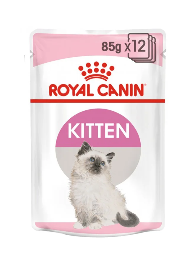 Premium Kitten Jelly Wet Food Pouches (12 x 85g Pack) - Complete Nutrition for Growing Kittens zcj1e