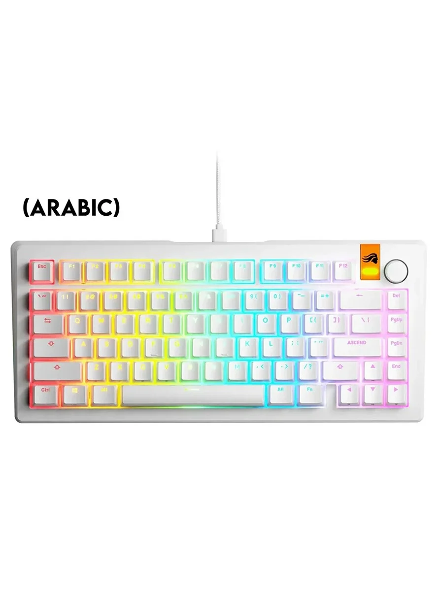 Premium 75% Hall Effect Mechanical Keyboard with Dual HotSwap Support and Linear Magnetic Switches (Arabic Layout, White) gbt74