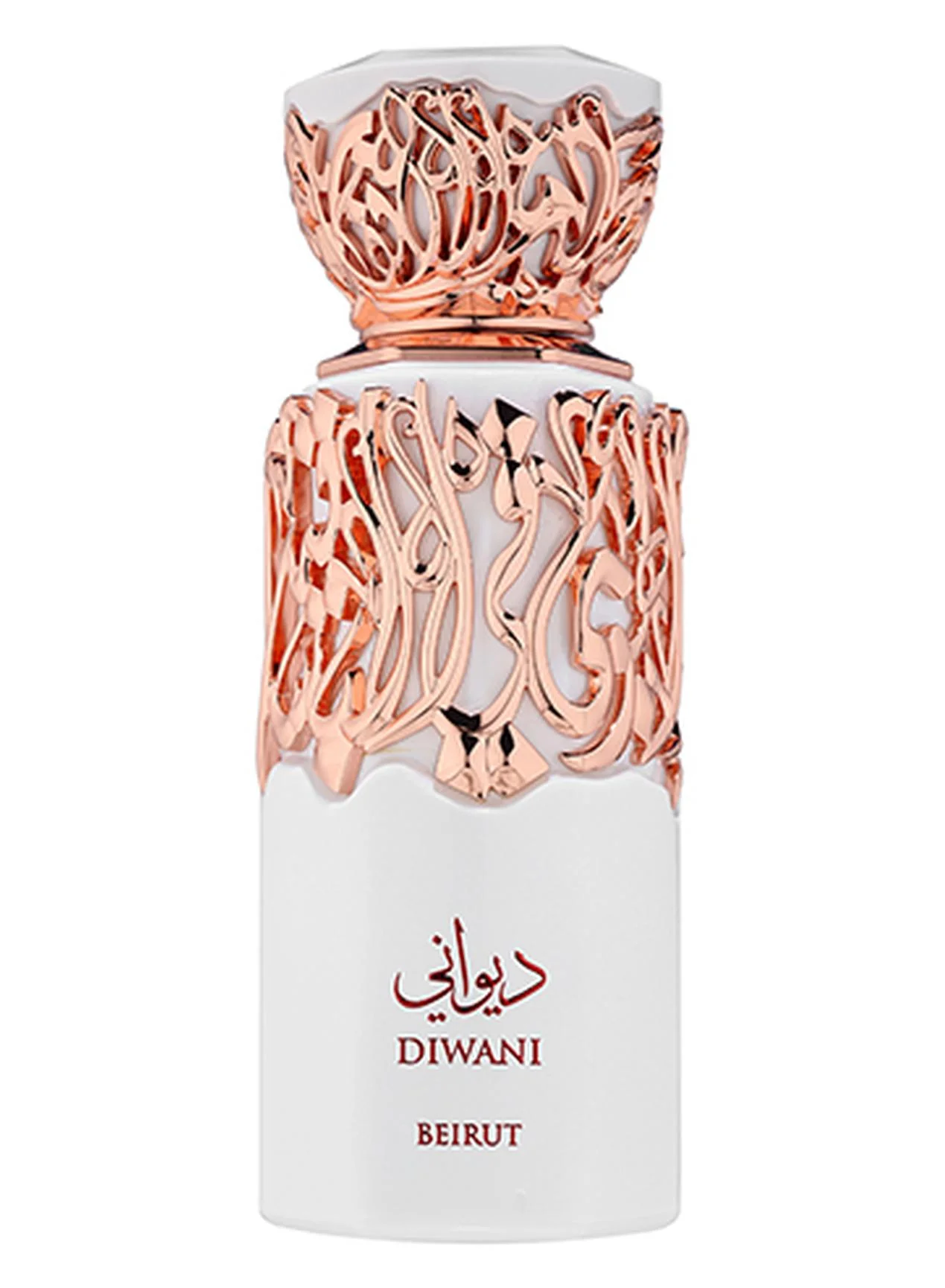 French Avenue Diwani Bierut Eau de Parfum Premium Fragrance for Men (100 mL) del7s