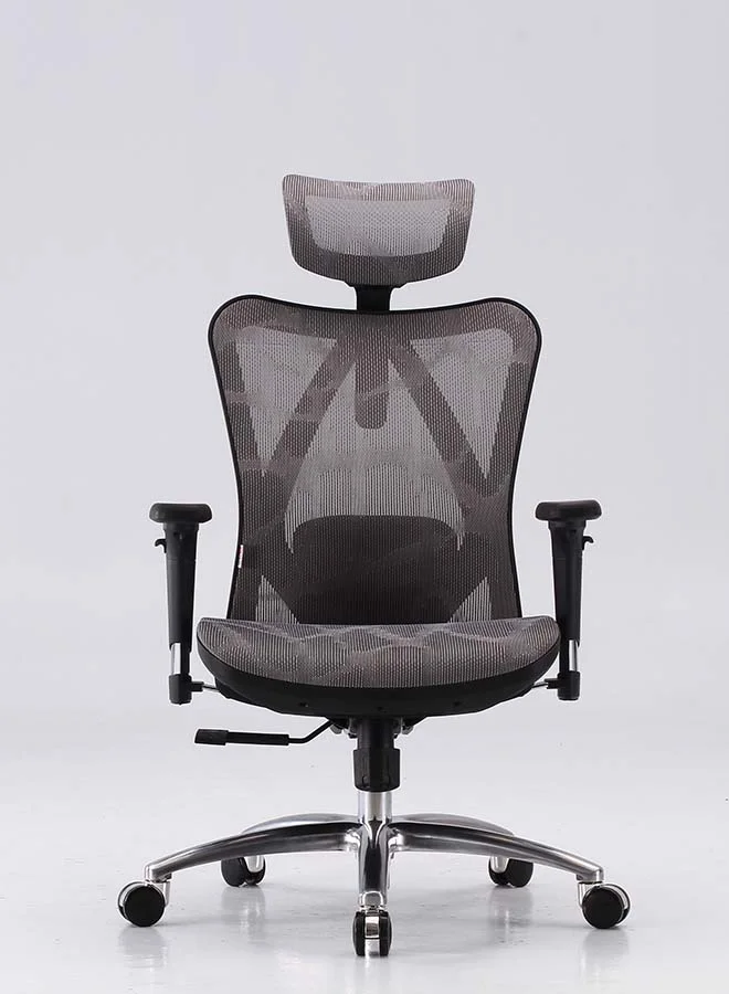 SIHOO M57 Ergonomic Office Chair, High Back with Lumbar Support and Adjustable 3D Armrest, Breathable Mesh (Grey) 49w3y