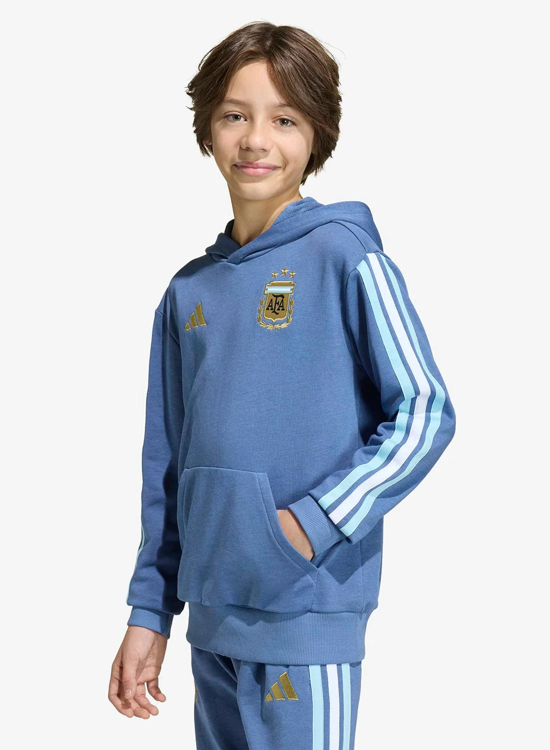 Sport Argentina DNA Hoodie Premium Cotton Pullover Sweatshirt for Kids (Blue and White, Size 140cm) 2g9nn