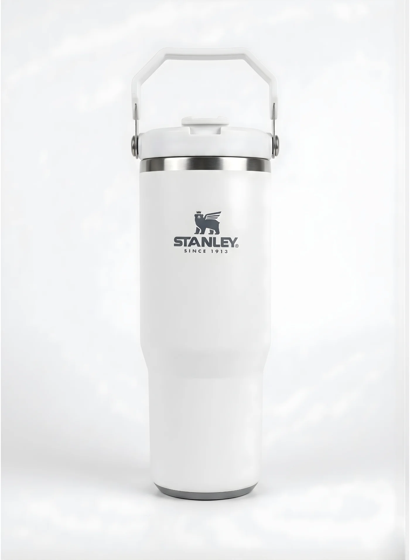Premium Insulated Stainless Steel Tumbler with Handle and Leakproof Spout Lid (White, 887 mL) cl77n