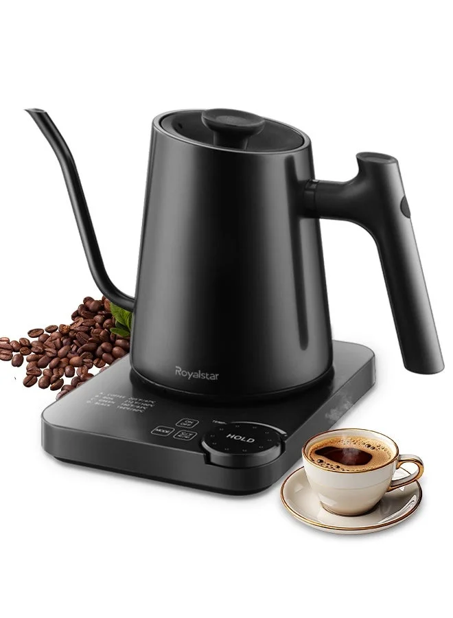 Royalstar Electric Gooseneck Kettle with Precise Temperature Control and 4 Preset Modes (Stainless Steel, 1200W) qbne9