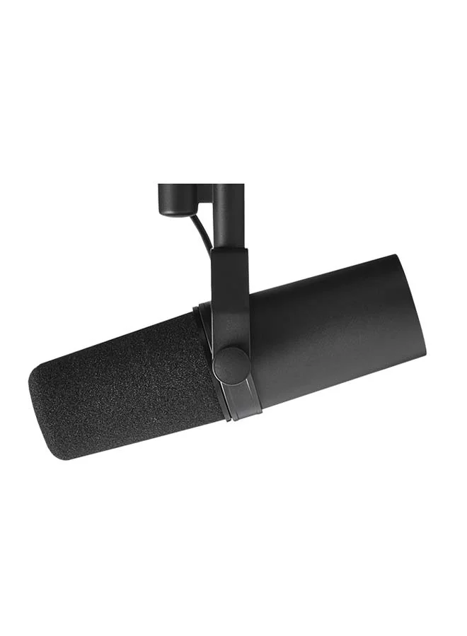 Professional Cardioid Dynamic Vocal Microphone for Studio Recording and Podcasting (Black) 4whhc
