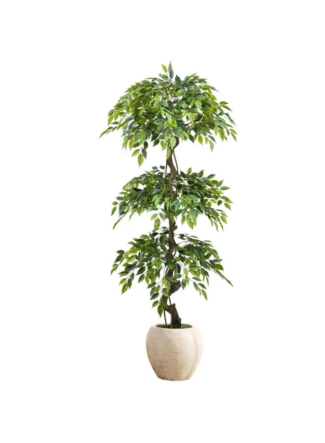 MirageBotanics Artificial Ficus Tree with Natural Curved Trunk in Premium White Pot (180cm) rs6qh