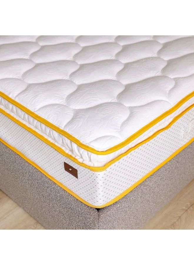 Danube Home V2 Latex Pillow Top Pocket Spring Mattress Medium Firm Support for Spine Alignment (White, 150x200x30 cm) d6wbt