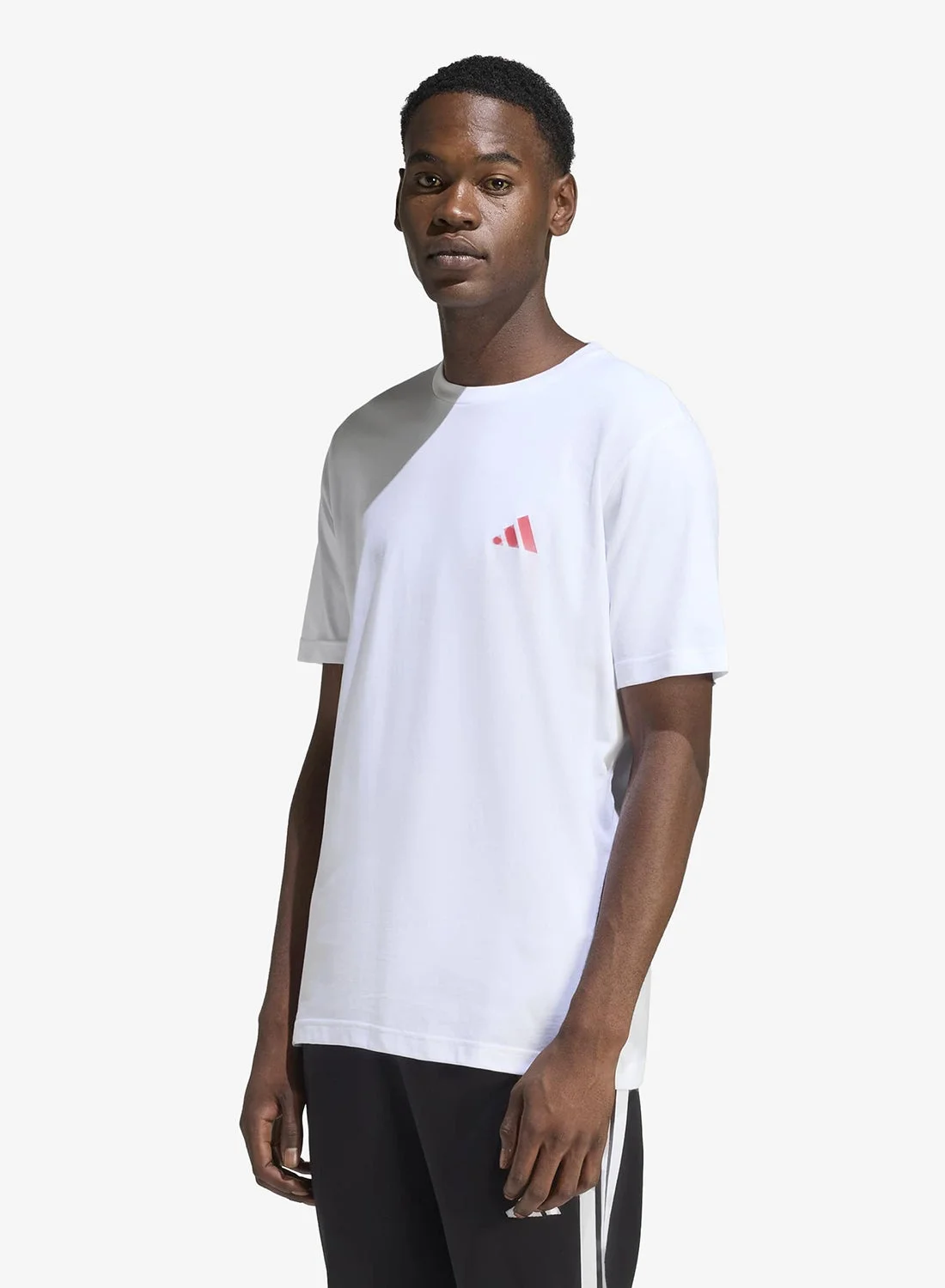 Sport Graphic Striped T-Shirt Premium Cotton Casual Crew Neck Top for Men (Size L) cejxk