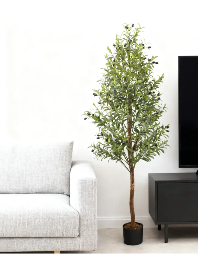 Noon East Artificial Olive Tree Premium Lifelike Floor Plant for Home and Office Decor (Green, 180 cm) jeijs