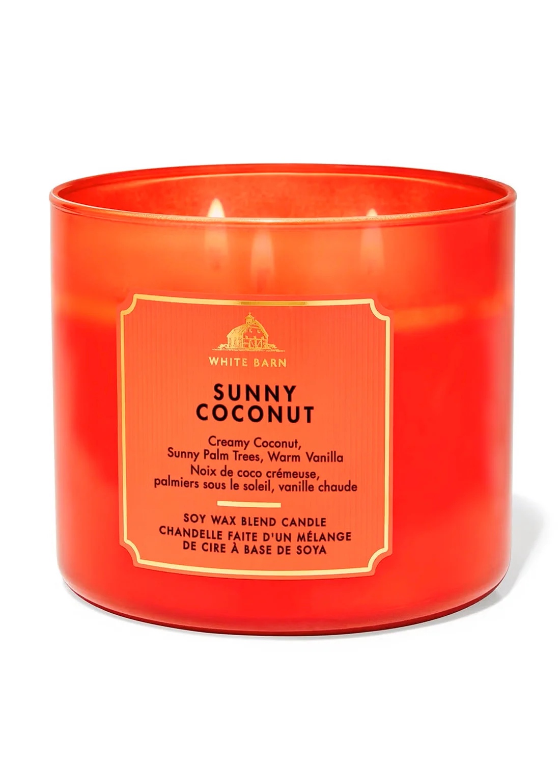 Premium Sunny Coconut 3-Wick Scented Candle (411g) - Long-Lasting Home Fragrance for Living Room and Bedroom ki8t8