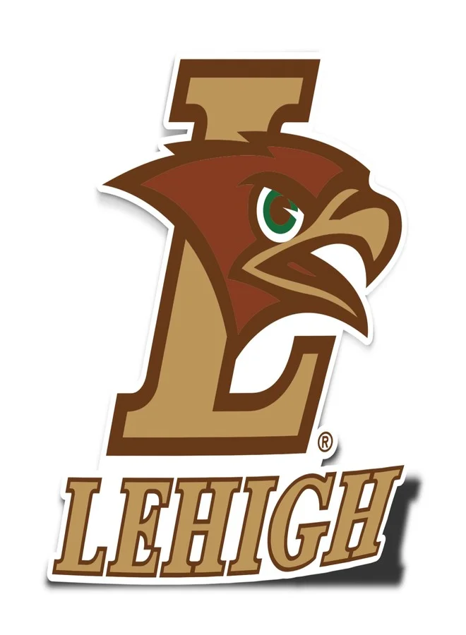 University Mountain Hawks Vinyl Decal Sticker for Laptop Car and Scrapbook (10 cm x 10 cm) gfavf