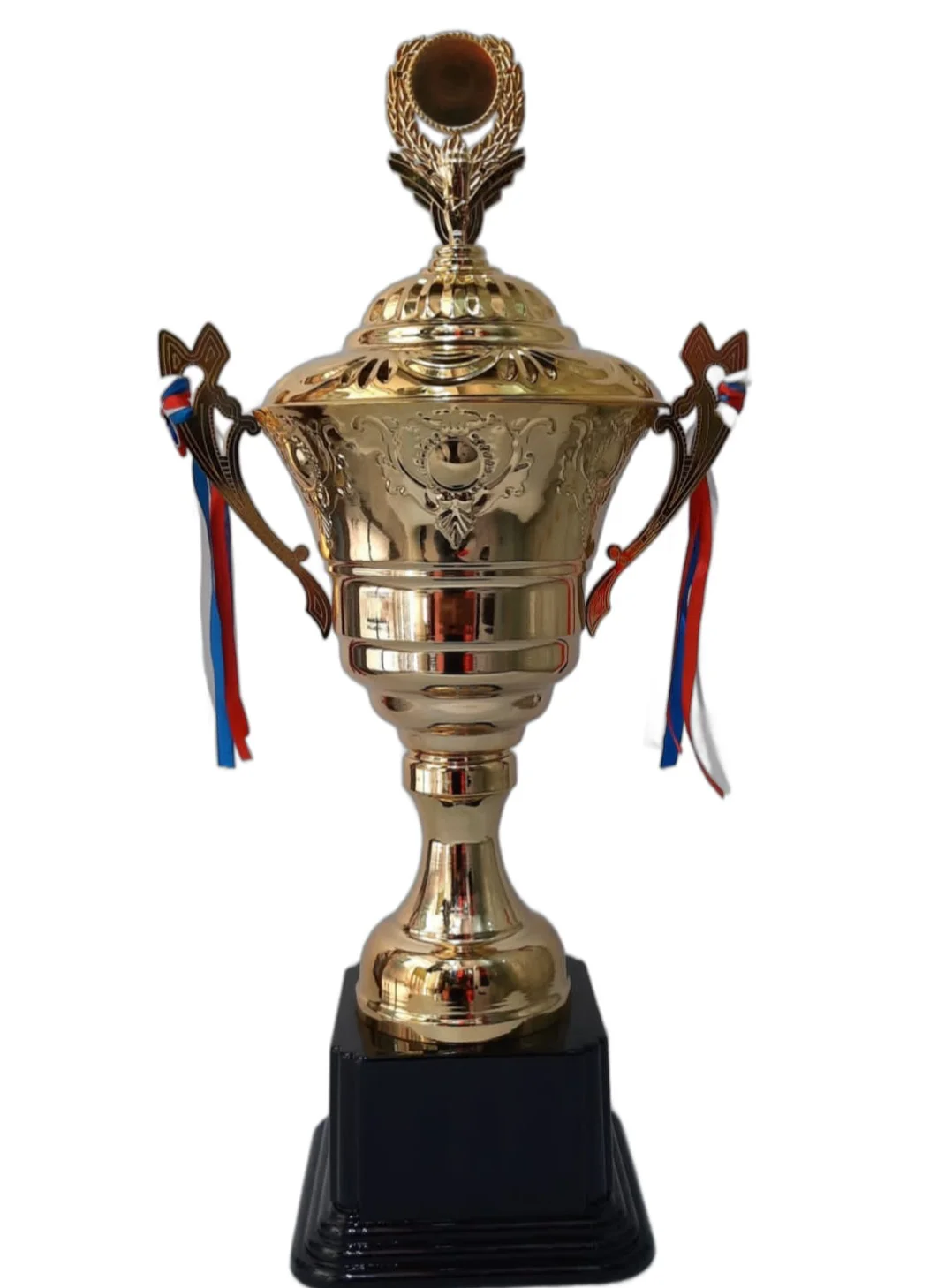 Spall Gold Trophy Cup Personalized Award for Sports Achievement Ceremony (Gold, 20 cm) vc6l6