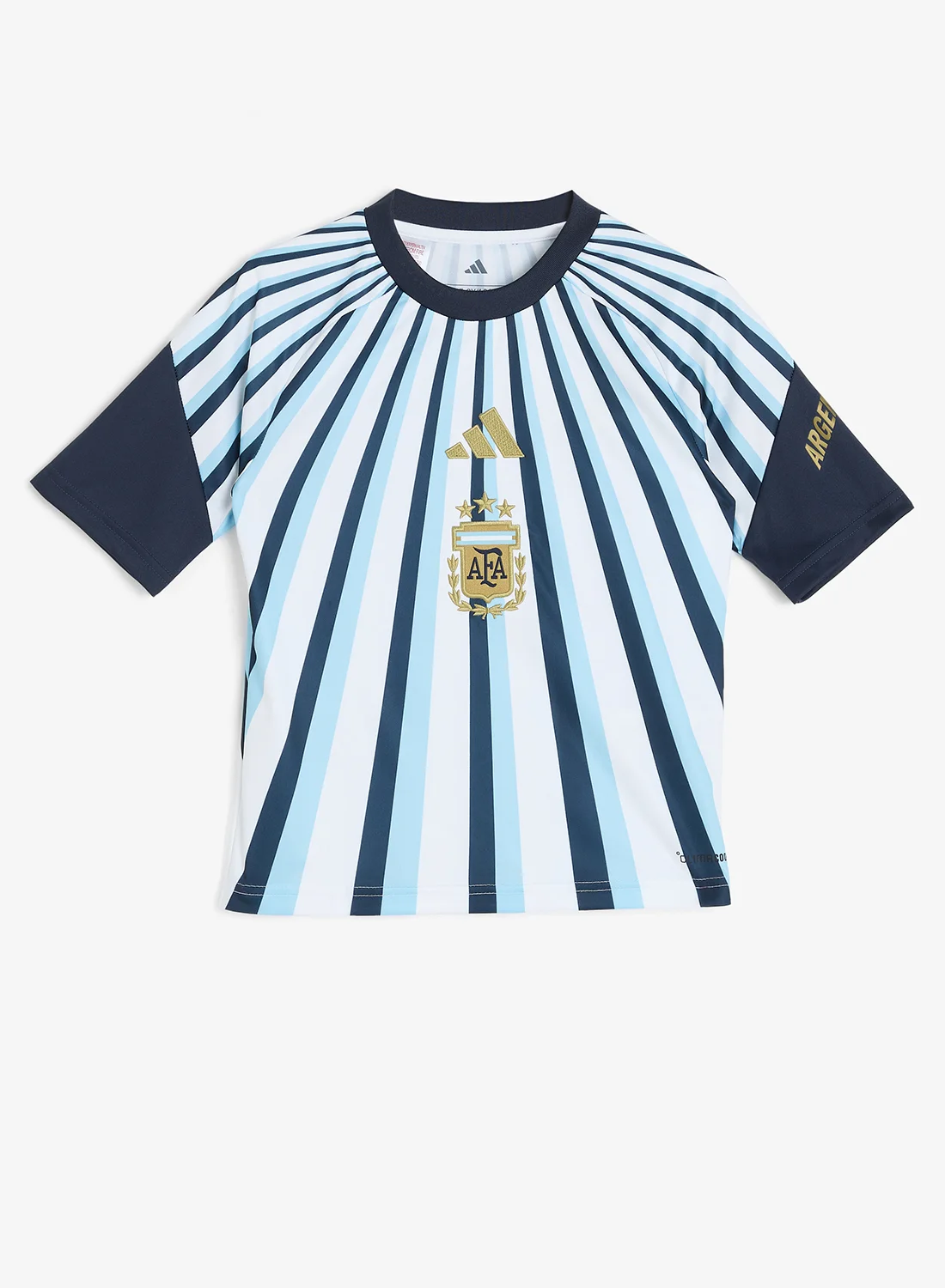Sport Argentina National Team Youth Soccer Jersey (Blue and White, Kids Size) pjrfd