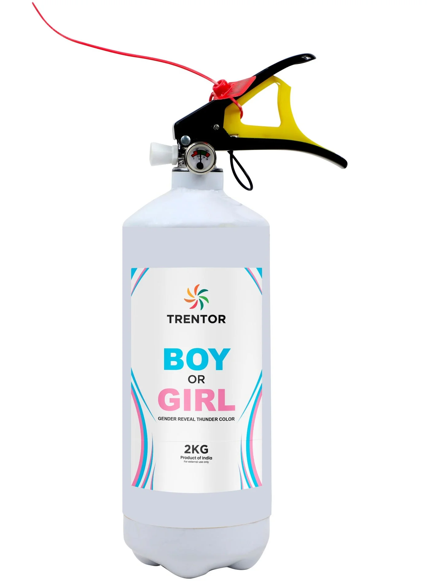 Trentor Gender Reveal Thunder Powder Cannon (Blue, 2 kg) 3da66
