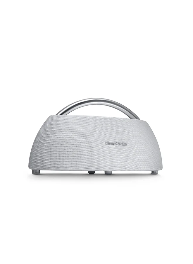 Premium Portable Bluetooth Speaker High-Fidelity Wireless Audio System (Grey, 1 Unit) qa1ww