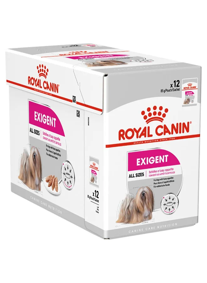 Canine Care Nutrition Exigent Wet Dog Food Pouches (Premium Formula, 12 x 85g) usr4k