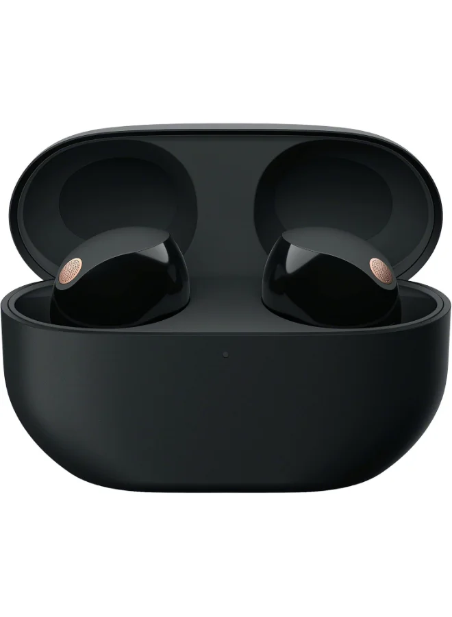 Premium True Wireless Noise Cancelling Earbuds High-Fidelity Audio (Black, 1 Pair) guh5t