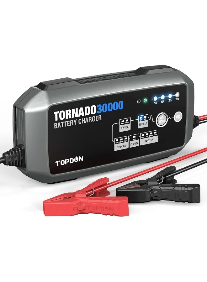 Professional 30A Car Battery Charger and Maintainer (6V 12V 24V) Automatic Voltage Stabilizer for Automotive ECU Programming 6ftcn