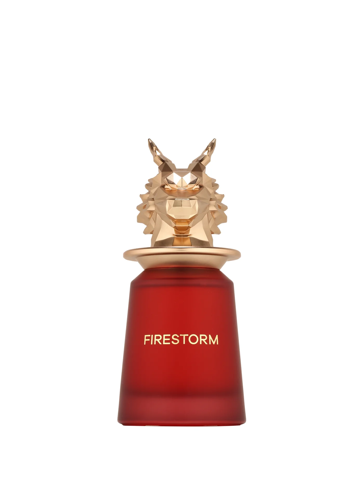 French Avenue Firestorm Eau de Parfum Premium Fragrance for Men (100 mL) ann6i