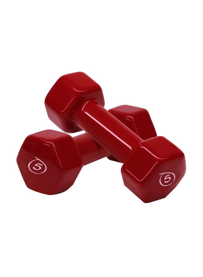 Premium Hex Vinyl Dumbbells Anti-Slip Weight Set for Home Gym Workout (Black, 10kg Pair) ndpmi