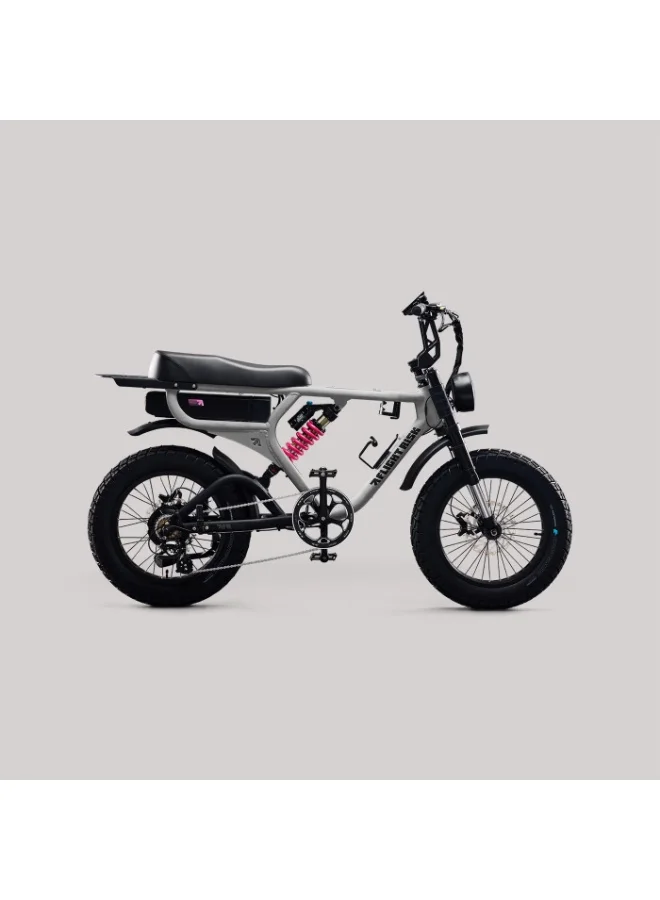 Flight Risk FR555 Electric Bike with 1000W Motor and Hydraulic Disc Brakes (Silver, Full-Frame) 3cz3z