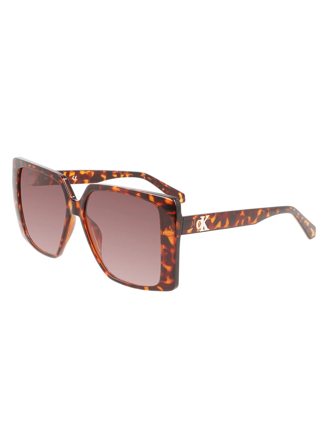 Premium Injected Square Sunglasses for Men and Women (Tortoise, 56mm) 0sjdl