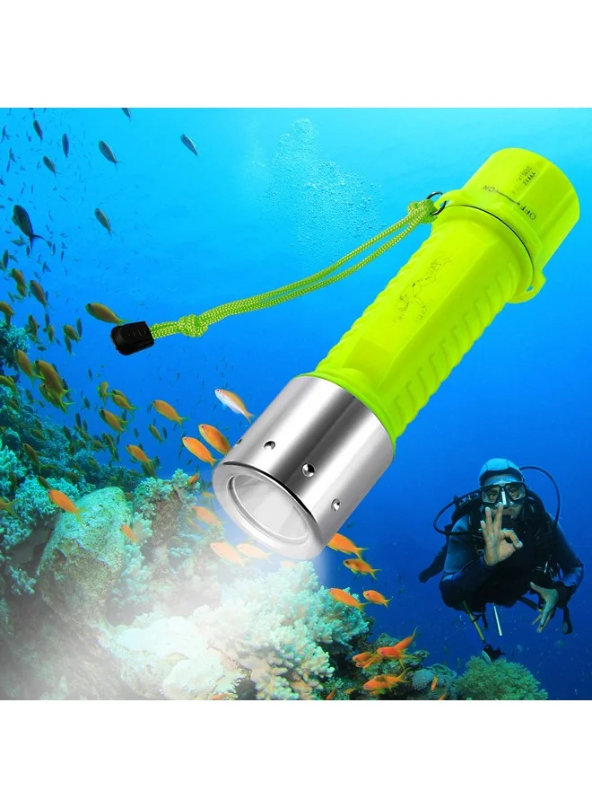 BlueFire Professional Diving Flashlight 1100 Lumen Waterproof Underwater Torch for Scuba Diving and Water Sports (15 cm) o7h5n