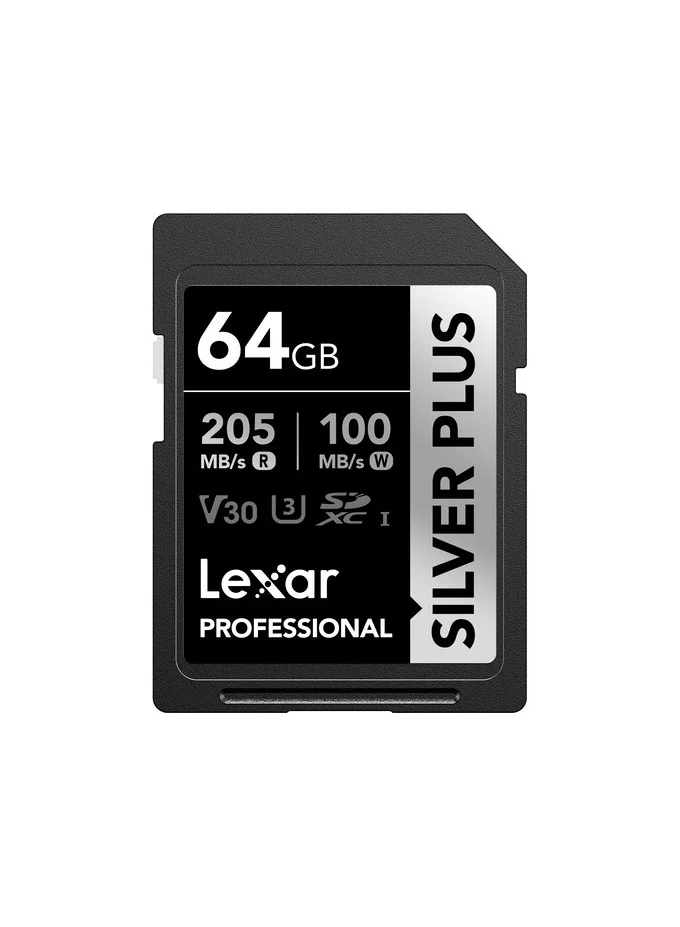 Professional SDXC Memory Card High-Speed UHS-I V30 U3 for Cameras and Camcorders (Silver, 64 GB) vg9sy