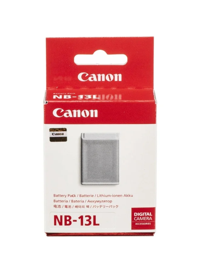 Premium Rechargeable Lithium-Ion Camera Battery Pack for Compact Digital Cameras (Grey, 1250 mAh) n1ukm