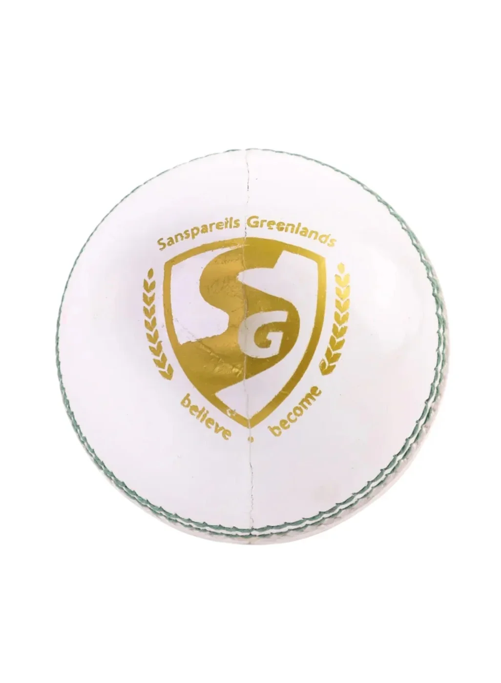 Premium Leather Cricket Ball Professional Training Match Ball (White, 156g) m210r