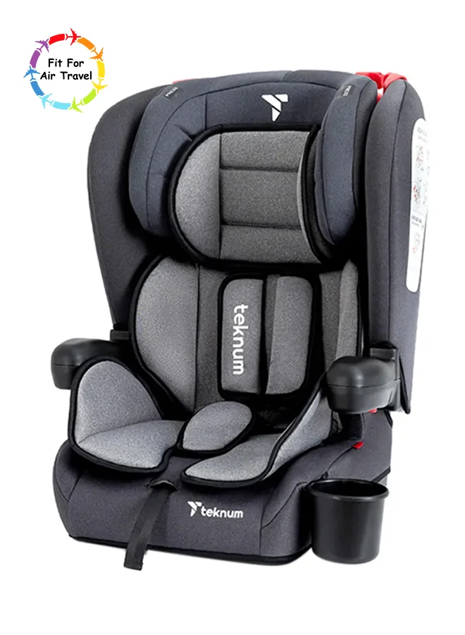 TEKNUM Foldable Car Seat Group 1/2/3 Adjustable Safety Seat for Kids (Grey, 9-36 kg) g66eg